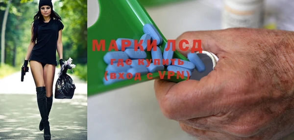 индика Балахна