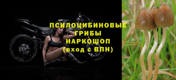 марки lsd Балабаново