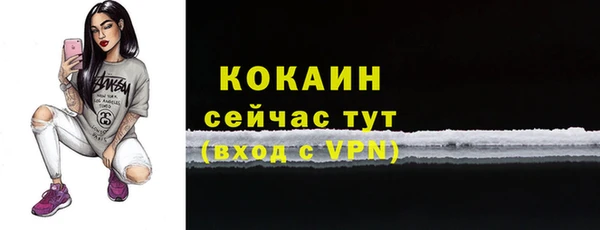 индика Балахна