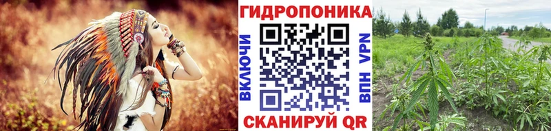 Каннабис LSD WEED  Купить закладки  Никольск 